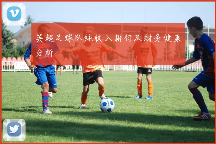 英超足球队纯收入排行及财务健康分析