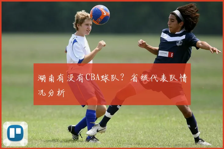 湖南有没有CBA球队?省级代表队情况分析