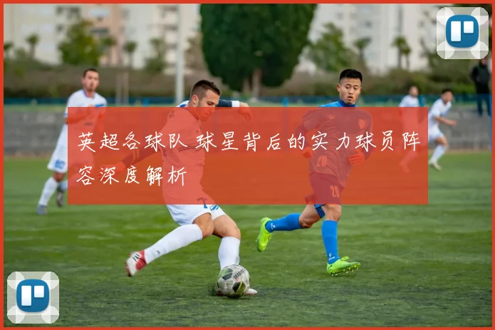 英超各球队 球星背后的实力球员阵容深度解析