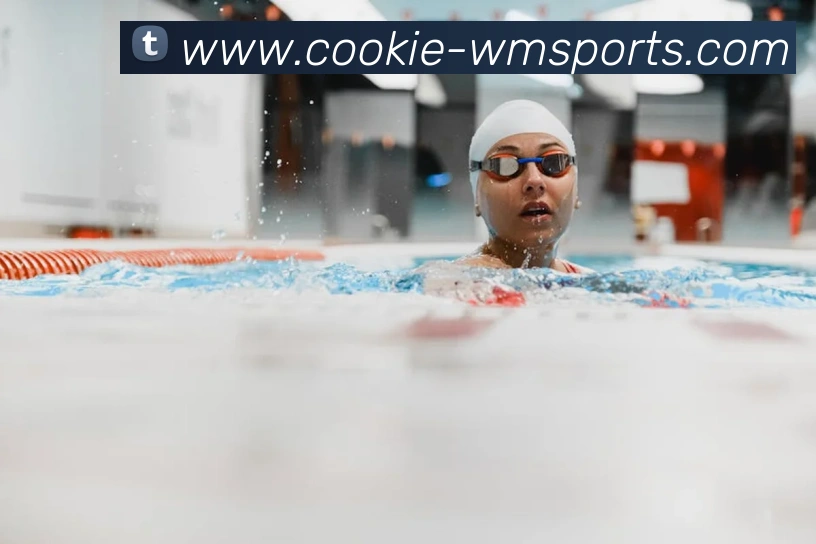 完美体育官网发展历程